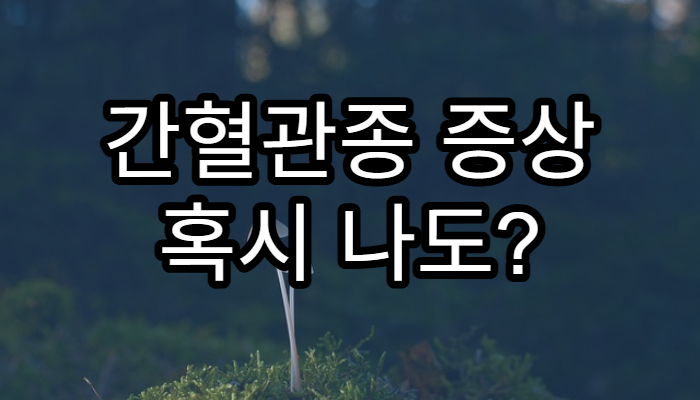 간혈관종 증상 혹시 나도? 알아두면 좋은 초기 신호