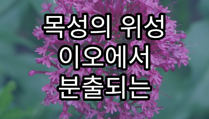 목성의 위성 이오에서 분출되는 화산 활동